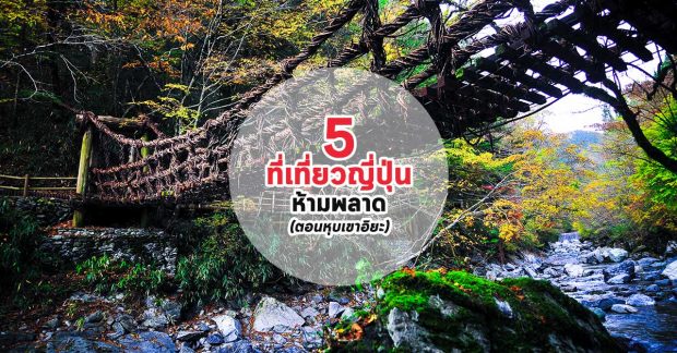 5 ที่เที่ยวญี่ปุ่นห้ามพลาด (ตอนหุบเขาอิยะ) Iya Valley